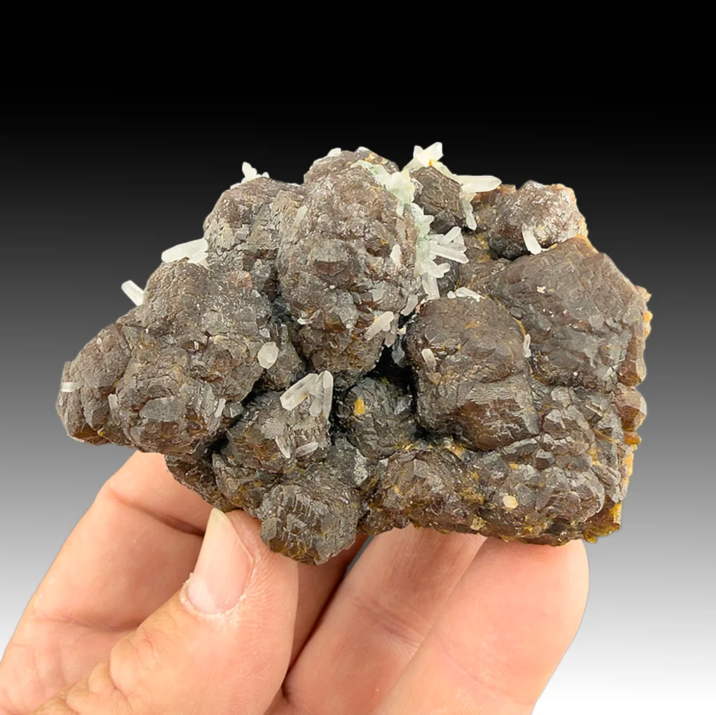 Andradite from Ocna de Fier, Caraş-Severin County, Romania - image 1