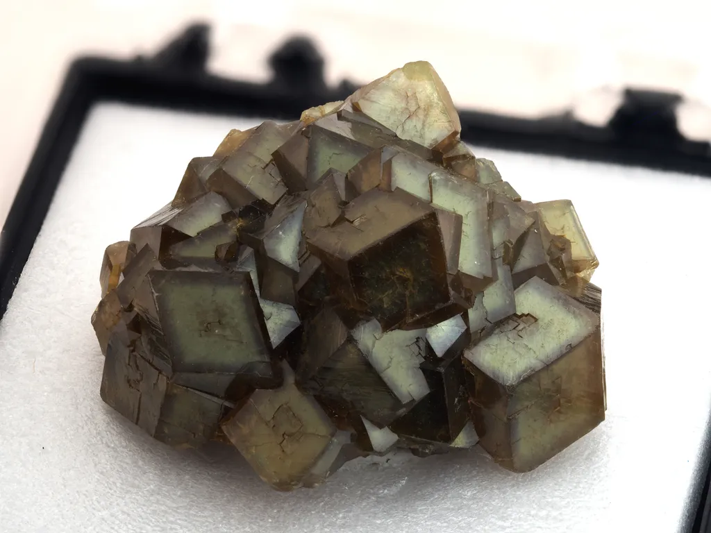 Andradite from USA, Arizona, Stanley Butte image