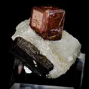 Andradite Garnet and Epidote on Prehnite - image 2