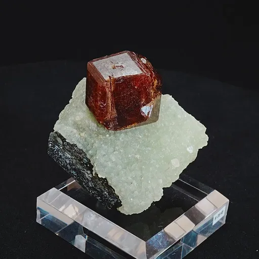 specimen video