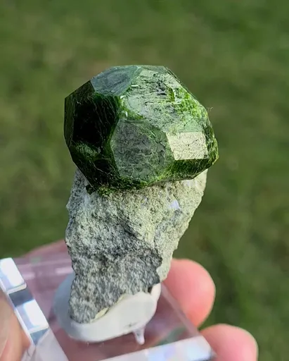 specimen video
