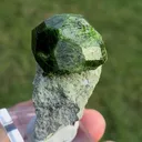specimen video