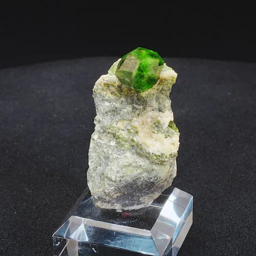 specimen video