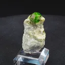 specimen video
