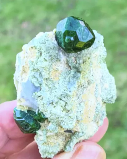 specimen video