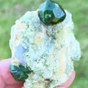specimen video