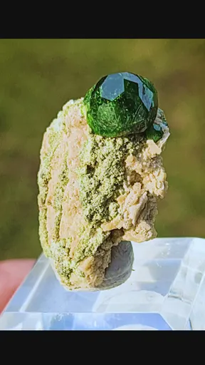 specimen video