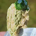specimen video