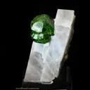 Andradite Garnet, Demantoid variety on Calcite - image 1