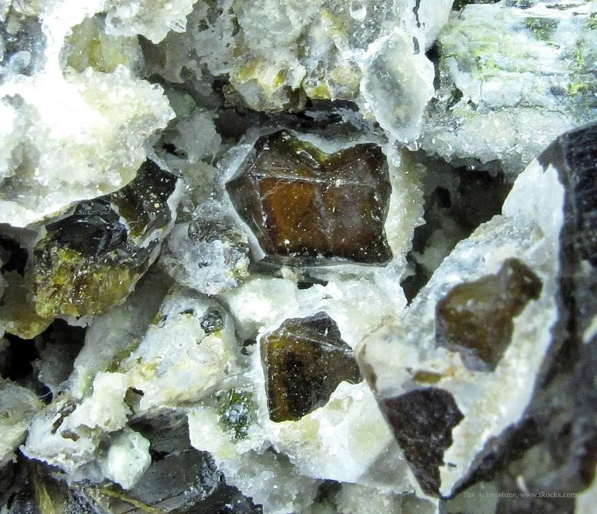 Andradite Garnet in Quartz - image 4