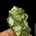 Andradite Garnet (iridescent) - image 4