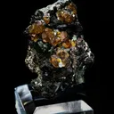 Andradite Garnet on Ferro-Hornblende - image 1