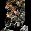 Andradite Garnet on Ferro-Hornblende - image 2