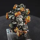 specimen video