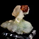 Andradite Garnet on Prehnite - image 2