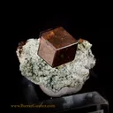 Andradite Garnet on Uralite - image 1