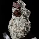 Andradite Garnet on Uralite - image 3