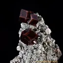 Andradite Garnet on Uralite - image 1