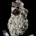 Andradite Garnet on Uralite - image 3