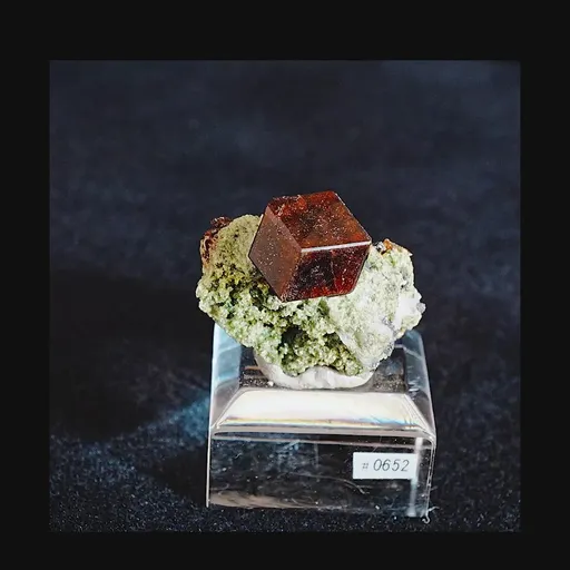 specimen video