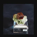 specimen video