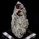 Andradite Garnet on Uralite - image 2