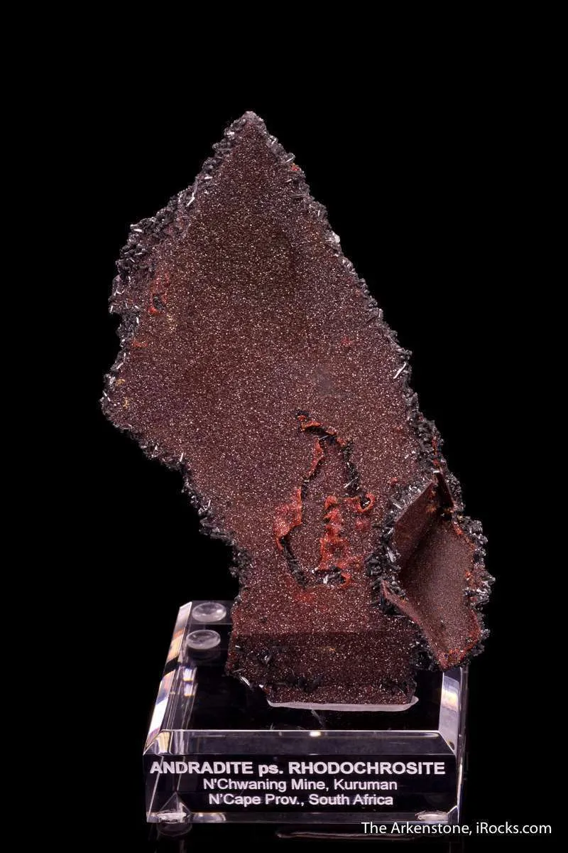 Andradite Garnet ps. Rhodochrosite with Gaudefroyite - image 1