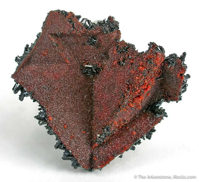 Andradite Garnet Pseudo. Rhodochrosite With Gaudefroyite image