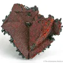Andradite Garnet Pseudo. Rhodochrosite With Gaudefroyite - image 1