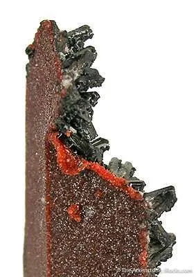 Andradite Garnet Pseudo. Rhodochrosite With Gaudefroyite - image 2