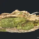 Andradite Garnet var. Demantoid, with Chrysotile - image 3