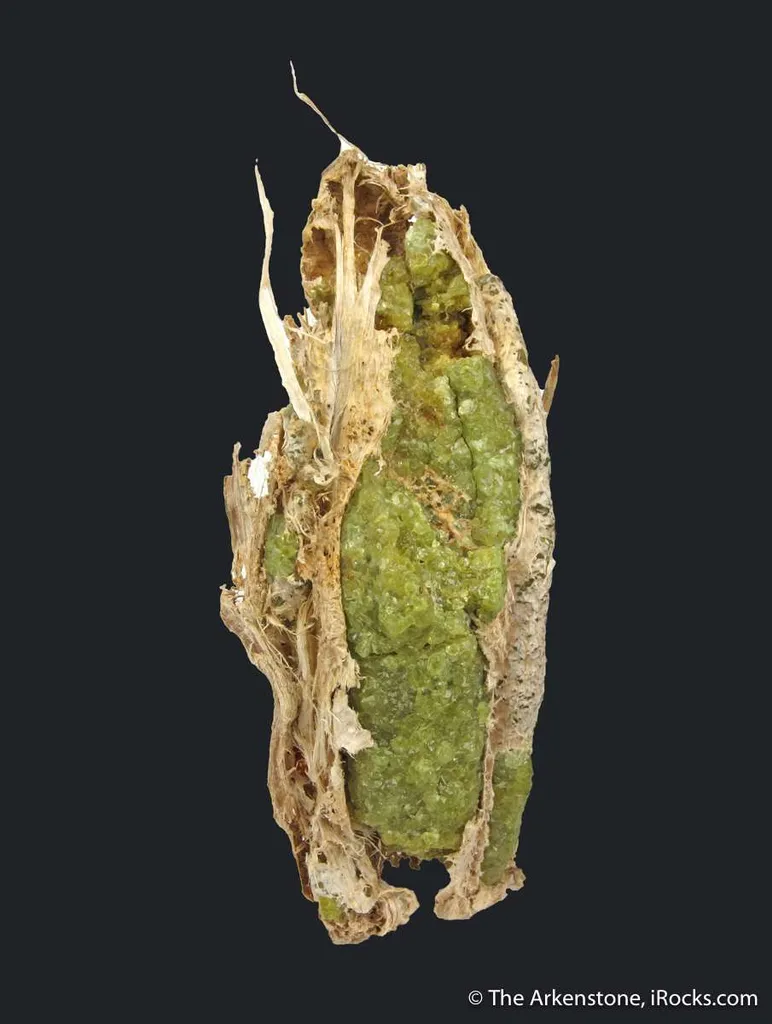 Andradite Garnet var. Demantoid, with Chrysotile image