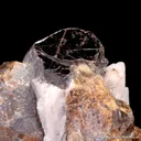 Andradite Garnet with Hendricksite (co-type locality) - image 6