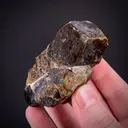 Andradite Garnet with Hendricksite (co-type locality) - image 2