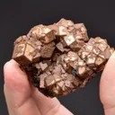 Andradite on Hedenbergite - image 2