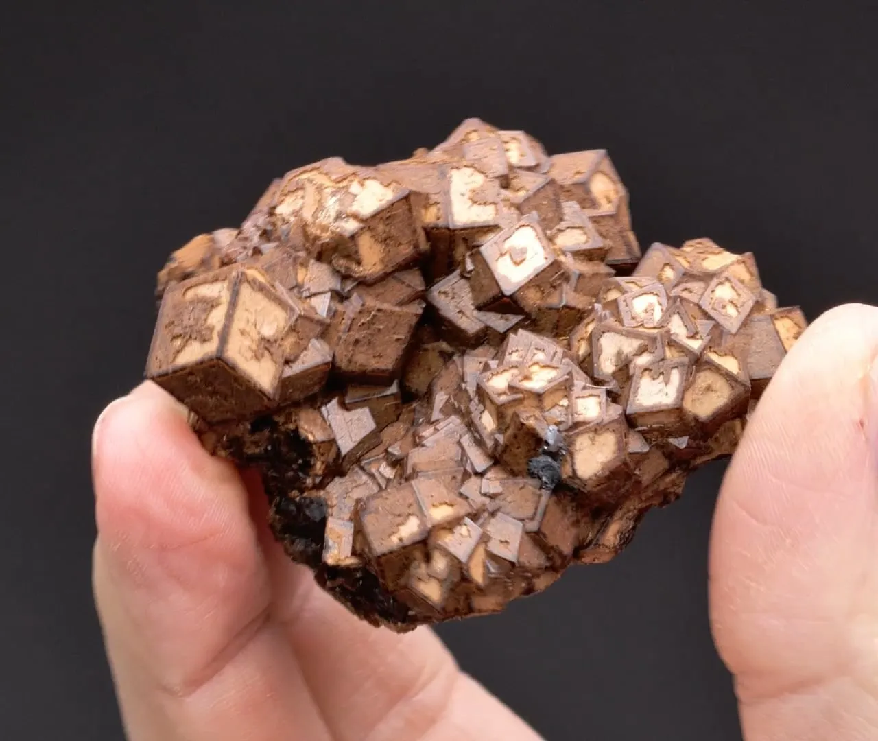 Andradite on Hedenbergite - image 2