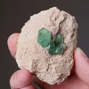 Andradite Var. Demantoid - image 2