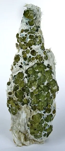 Andradite (Var: Demantoid) image