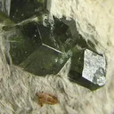 Andradite (Var: Demantoid) - image 2