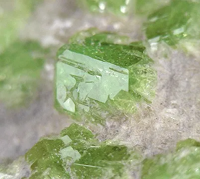 Andradite (Var: Demantoid) image