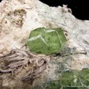 Andradite var. Demantoid - image 1