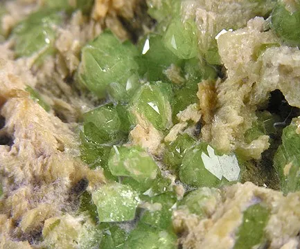 Andradite (Var: Demantoid) image