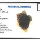 Andradite var. Demantoid - image 5