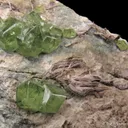 Andradite var. Demantoid - image 3
