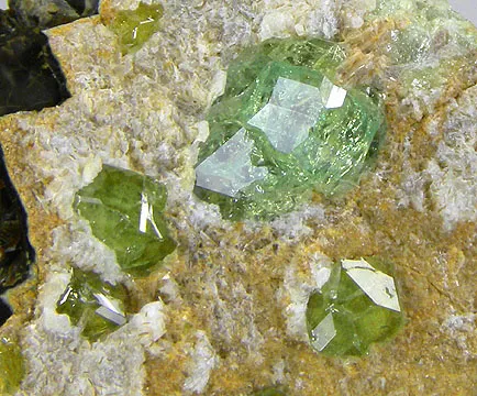 Andradite (Var: Demantoid) image
