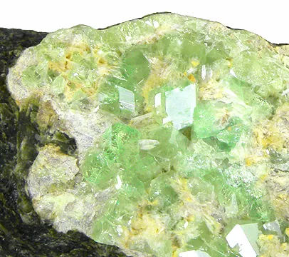 Andradite (Var: Demantoid) image