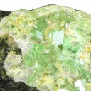 Andradite (Var: Demantoid) - image 1