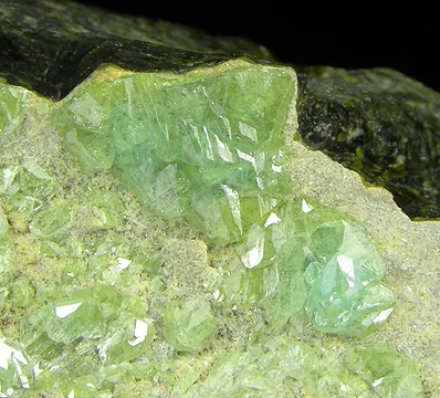 Andradite (Var: Demantoid) image