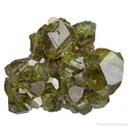 Andradite Var. Demantoid Garnet - image 1