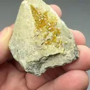 Andradite var Topazolite - image 2